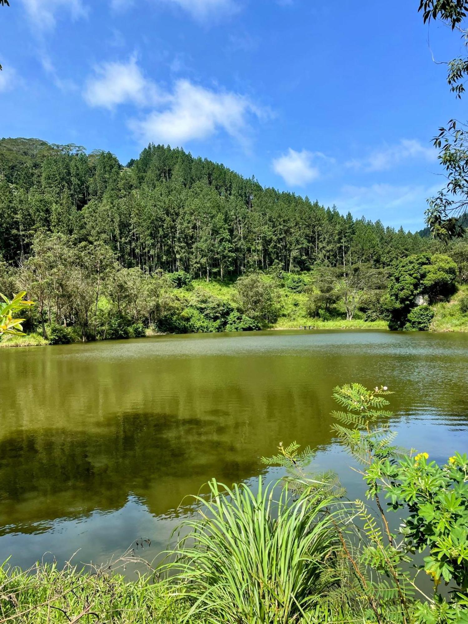 贝尔伍德山水疗度假村 康提 外观 照片