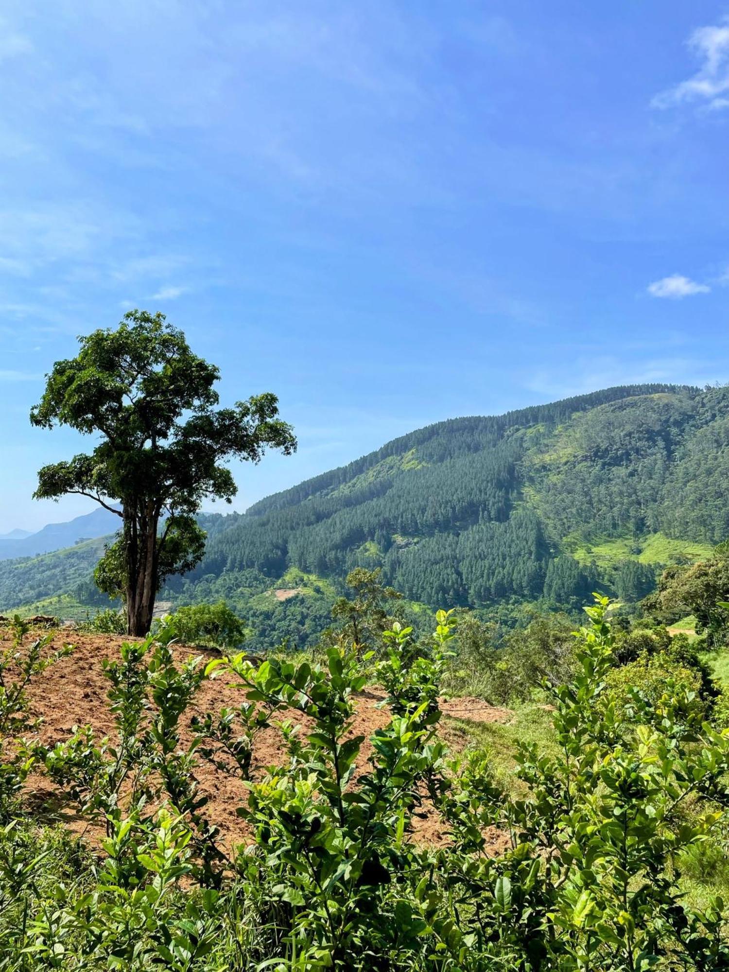贝尔伍德山水疗度假村 康提 外观 照片